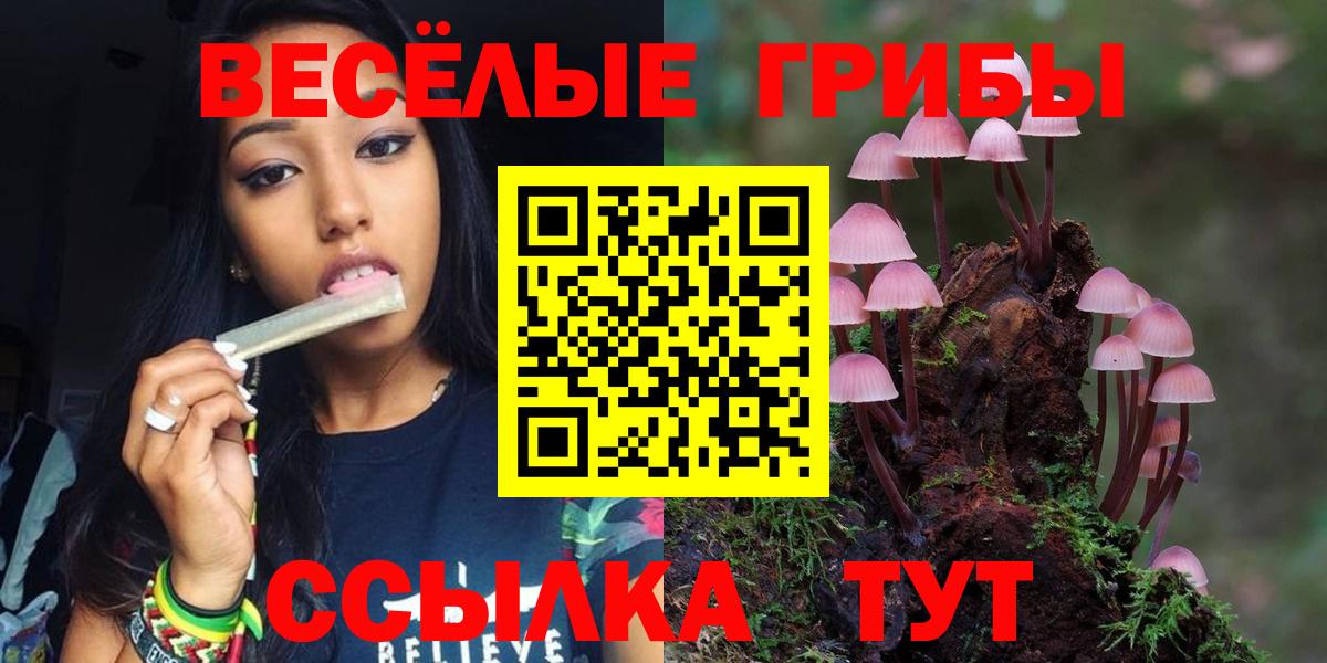 Бузулук  Псилоцибиновые грибы мухоморы  Псилоцибиновые грибы мицелий  Вход с VPN 